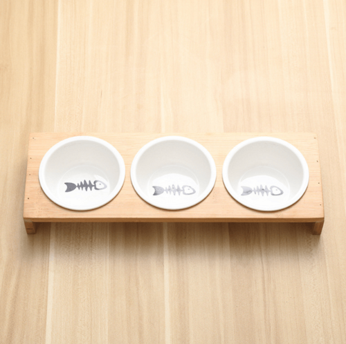 Cat Bowls & Feeders