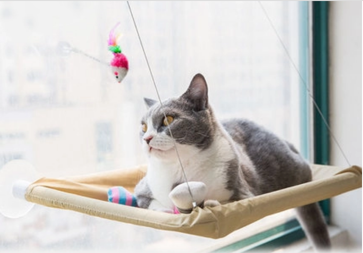 Cat Beds & Furniture